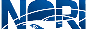 Nori Peugeot